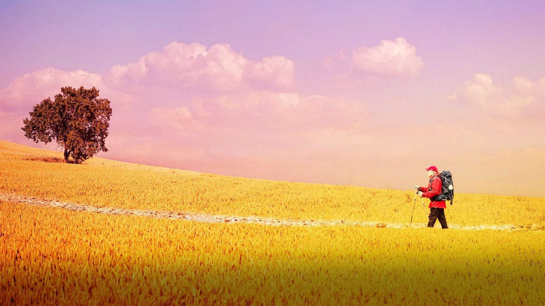 Путь, мой путь