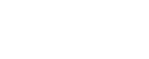 Реинкарнация. Новая глава