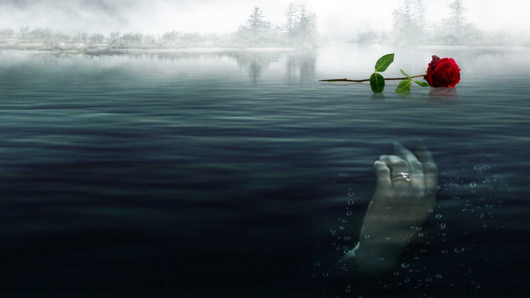 Роза на её могиле: История Рэнди Рота