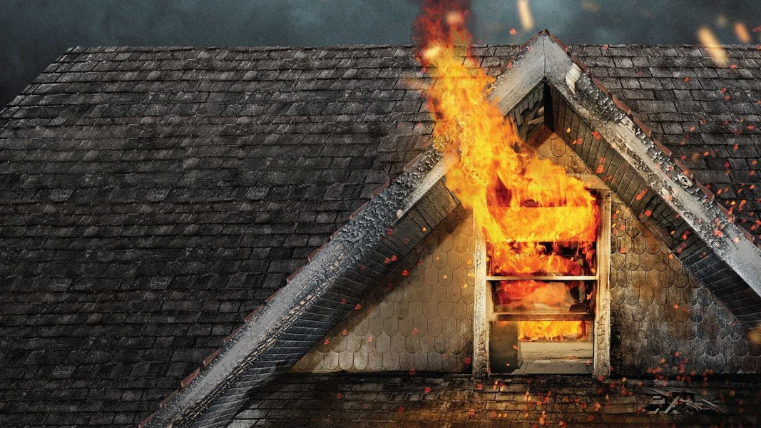 Сквозь тернии