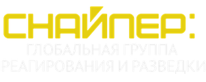Снайпер: Глобальная группа реагирования и разведки