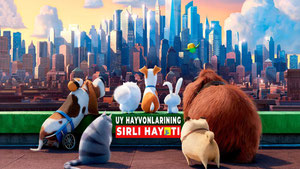 Тайная жизнь домашних животных