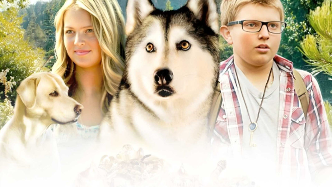 Тимбер – говорящая собака