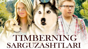 Timberning sarguzashtlari