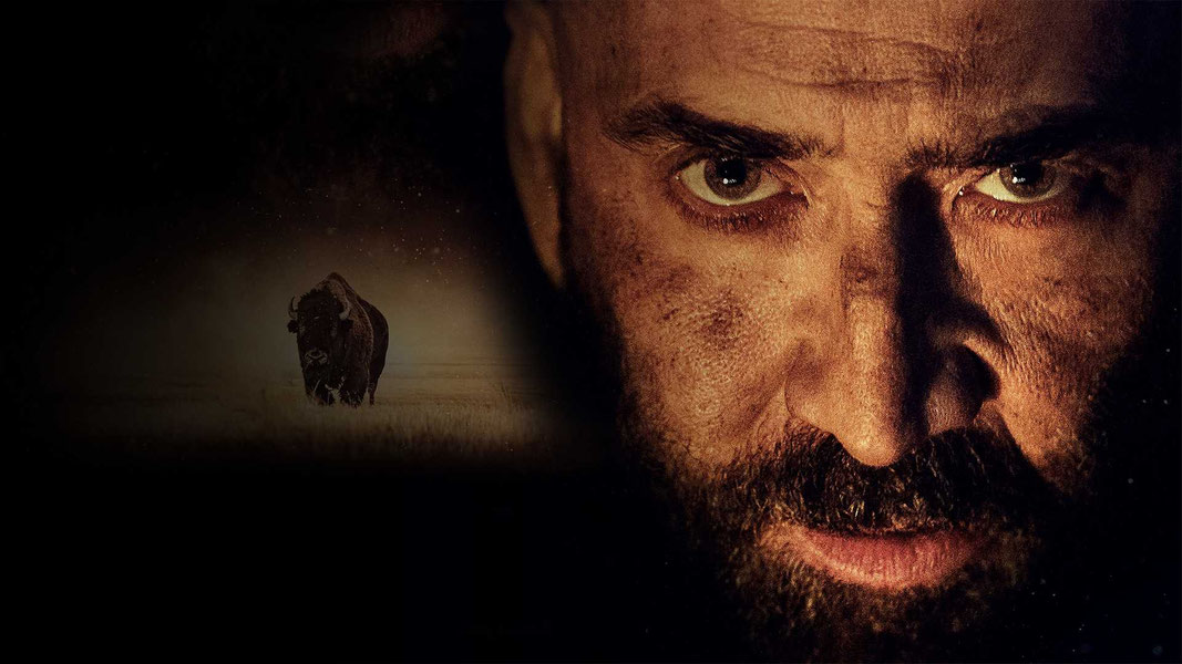 В поисках зверя