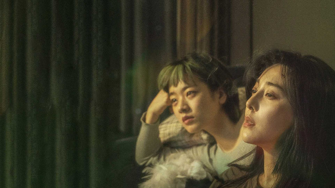 Зелёная ночь