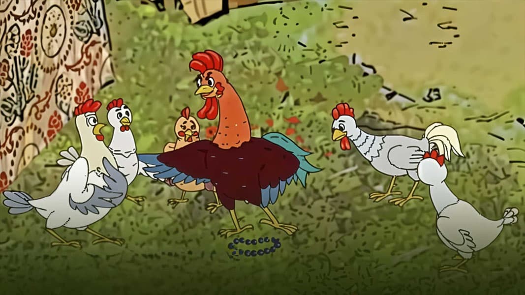 Очкўз хўроз