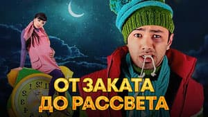 От заката до рассвета