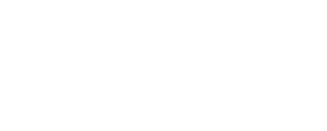 Parvoz