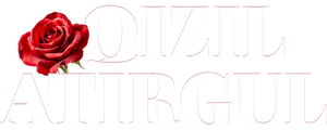 Qizil atirgul
