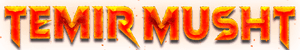 Темир мушт
