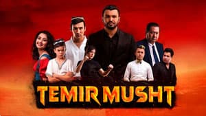 Темир мушт