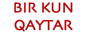 Верни один день