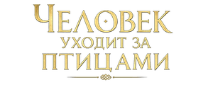 Человек уходит за птицами