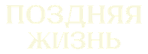 Поздняя жизнь